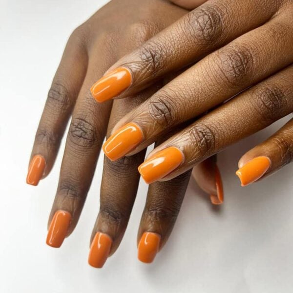 199 All Zest Up, Nowhere To Go