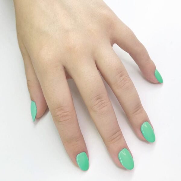 210 - Time To Manifest